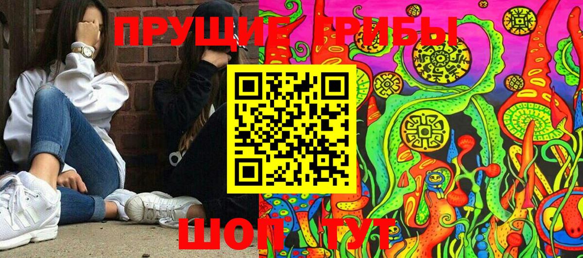 Галлюциногенные грибы GOLDEN TEACHER  Вход с VPN  Галлюциногенные грибы мухоморы  Сочи 